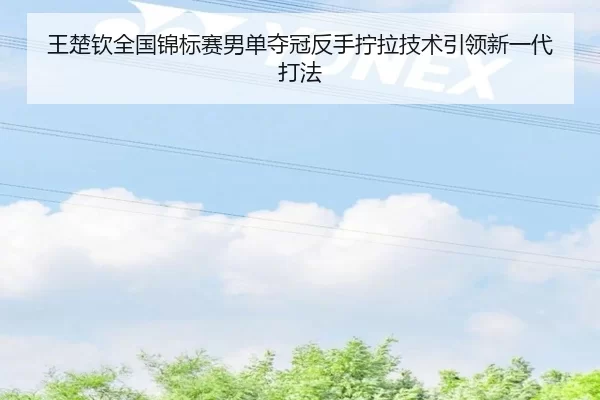 王楚钦全国锦标赛男单夺冠反手拧拉技术引领新一代打法
